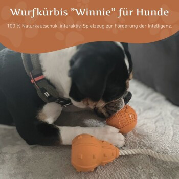 Wildfang Wurfkürbis Winnie, Naturkautschuk Wurfspielzeug - Bild 3