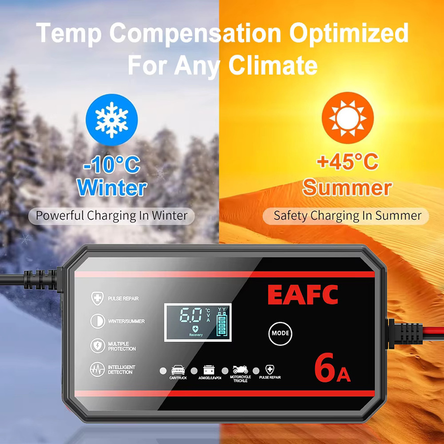 EAFC Tragbares Smart Batterieladegerät für Lithium LiFePO4 und Blei-Säure-Batterien, 12V, Schwarz - Bild 5