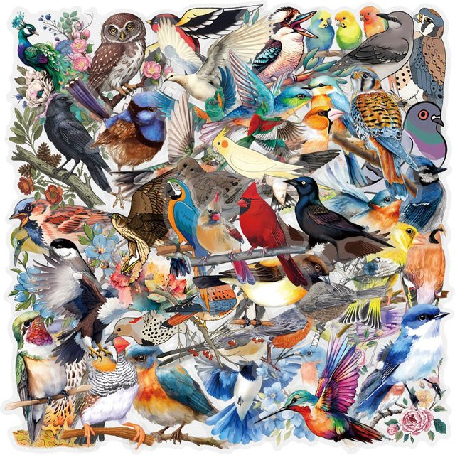 60 Stück Bunte Vogel-Graffiti-Aufkleber Transparent für Laptop, Kühlschrank und Auto - Bild 1