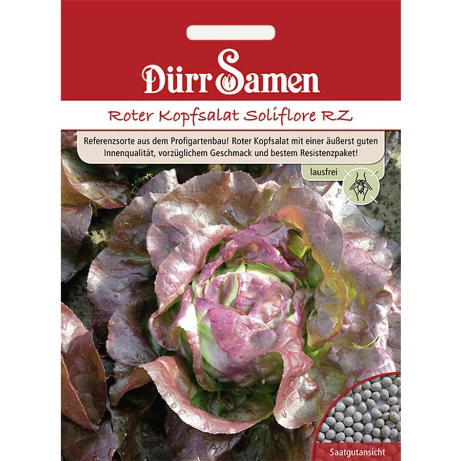 Dürr Samen Roter Kopfsalat Soliflore Rz Saatgut - Bild 2