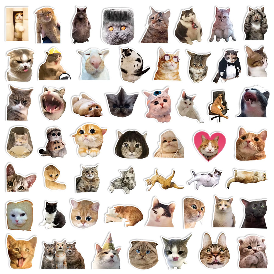 50er-Pack Realistische Katzen-Cartoon-Emotionsaufkleber aus wasserfestem PVC in Multicolour für Wasserflaschen, Gitarren und Notizbücher - Bild 3