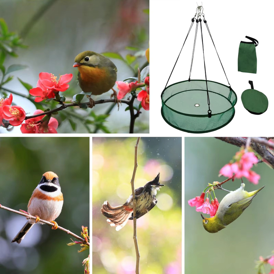 Vogelfutterschale und Kolibri-Futterspender mit Hängekette für Garten und Balkon in Grau und Grün - Bild 4