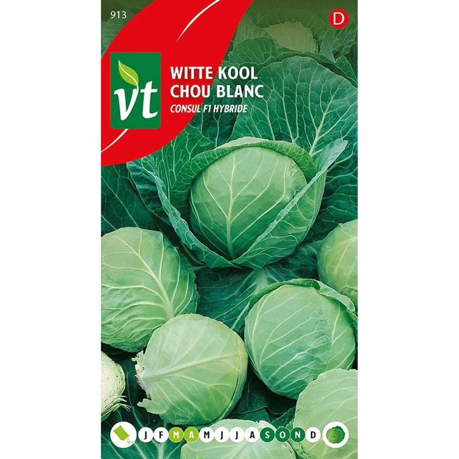 Arborix Weißkohl Consul F1 Saatgut, 0,3 g - Bild 2