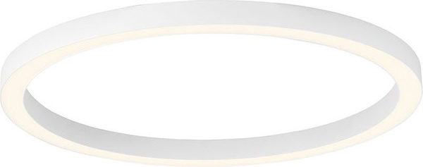 Paul Neuhaus Pure Lines Round LED-Deckenleuchte in White, Durchmesser: 70 cm, dimmbar mit Fernbedienung