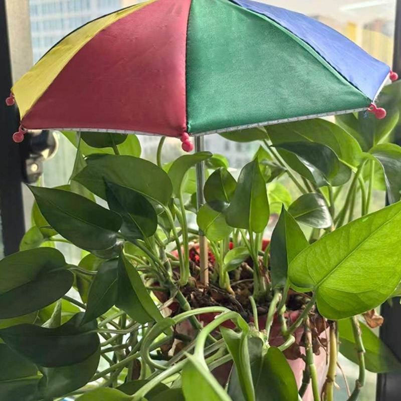Mixingtime Regenschutzschirm für Topfpflanzen und Sukkulenten in Rosa - Bild 3