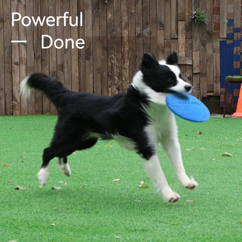 Meianju Hundefrisbee, aus Gummi, interaktives Trainingsspielzeug - Bild 2
