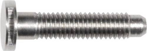 Hager REH107X Zylinderkopfschraube mit Innensechskant aus Edelstahl in Silber, M5 x 25 mm - Bild 1