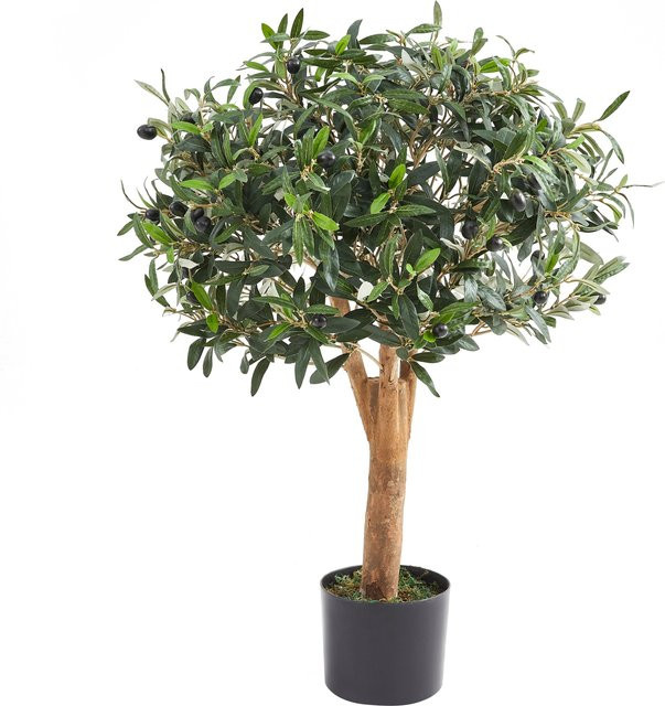 Künstlicher Olivenbaum Nerio von Aplanta, Höhe: 75 cm - Bild 1
