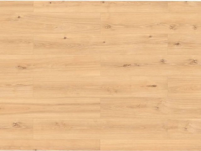 BASICfloor Designboden Trend Green Vinyl Grappa Eiche Landhausdiele in Green und Beige mit Click-System - Bild 1