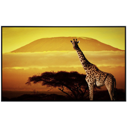 papermoon Infrarotheizung EcoHeat Giraffe von Kilimanjaro mit Matt-Effekt in Bunt, App-Steuerung und Überhitzungsschutz - Bild 2