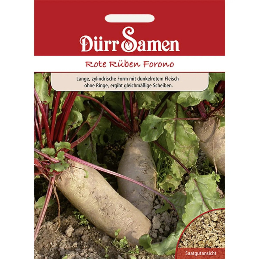 Dürr Rote Rüben Forono Saatgut 250 g - Bild 2