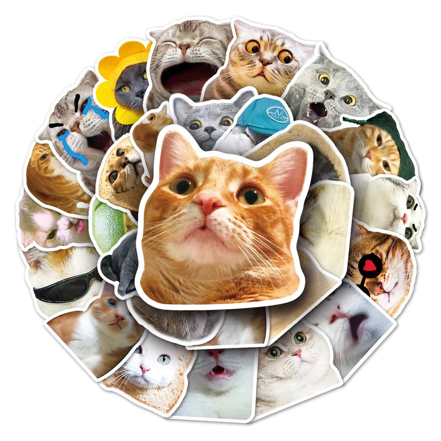 50 Stück wasserfeste Katzen-Emoji-Aufkleber in Multicolour für DIY-Dekoration von Notebook und Handyhülle - Bild 2