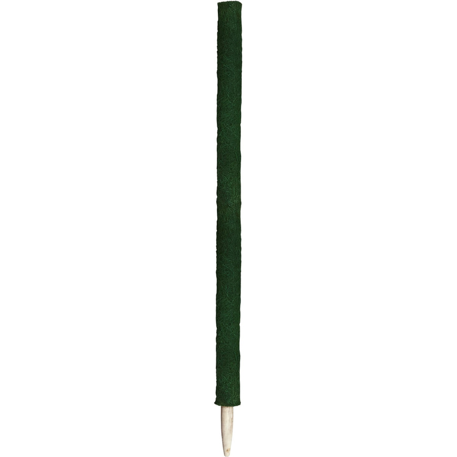 Peacock Kokos-Pflanzstab in Grün, Durchmesser: 4 cm, Höhe: 120 cm - Bild 2