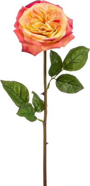 Künstliche Rose Ginny von Aplanta, Höhe: 60 cm - Bild 1
