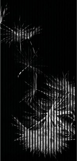 FN Acustico Akustikplatte Pusteblume in Bunt aus PET und MDF, H x B x T: 2.400 x 1.133 x 19 mm - Bild 1