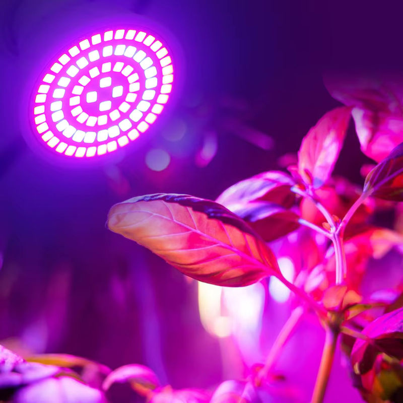 YNL Vollspektrum LED Pflanzenlampe E27 mit 60-80 LEDs für Gewächshaus, Hydrokultur und Zimmerpflanzen, Weiß - Bild 3