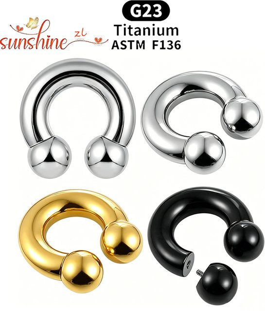 Hufeisen Circular Barbell Ohrringe, Titan, Unisex - Bild 1