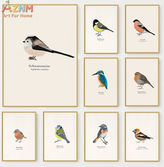 AZNM Vintage Wandkunstdruck als ungerahmte Leinwand mit europäischer Vogel-Illustration und wissenschaftlicher Ornithologie-Darstellung in Mehrfarbig - Bild 1