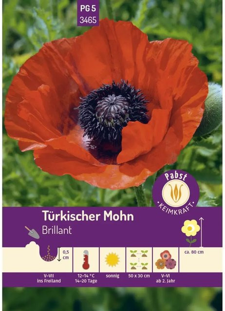 Pabst Keimkraft Türkischer Mohn Brillant Saatgut für Beete, Rabatten und Schnittblumen - Bild 1