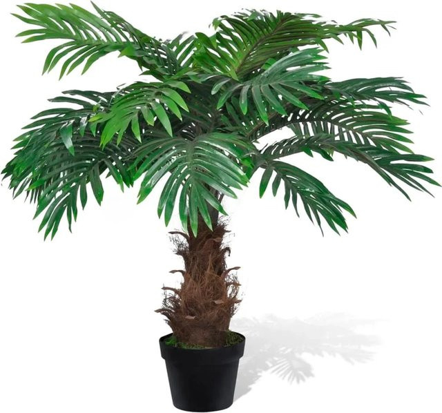 furnicato Künstliche Cycus-Palme in Grün mit Topf, Höhe: 80 cm - Bild 1