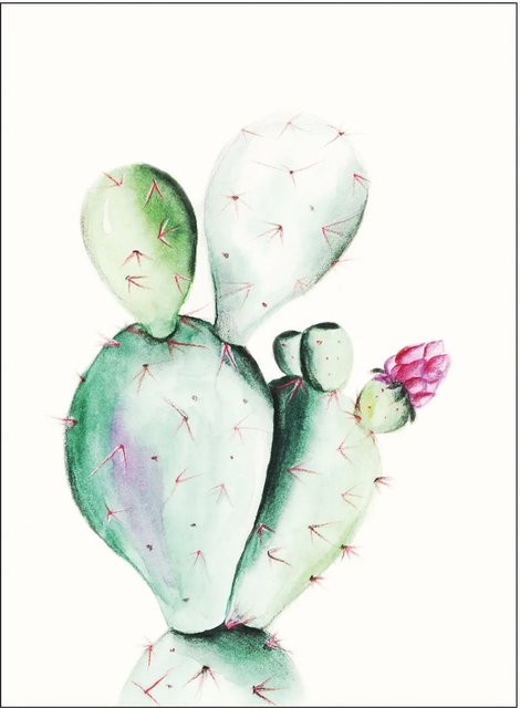 Komar Wandbild Prickly Pear in Grün, B: 40 cm, H: 50 cm - Bild 1
