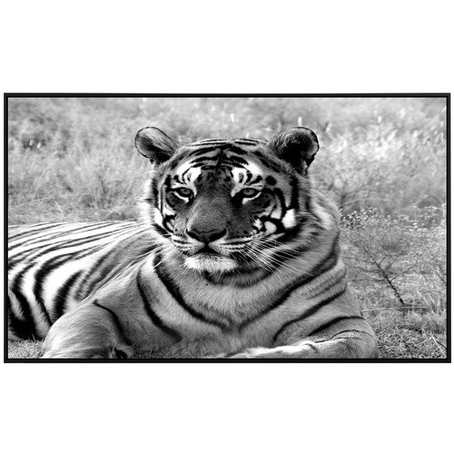 papermoon EcoHeat Infrarotheizung Tiger Portrait Schwarz Weiss mit Matt-Effekt und App-Steuerung - Bild 2