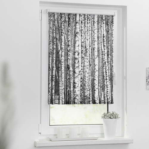 Lichtblick Rollo Klemmfix Birken blickdicht Schwarz-Weiß B: 120 cm, H: 150 cm - Bild 2