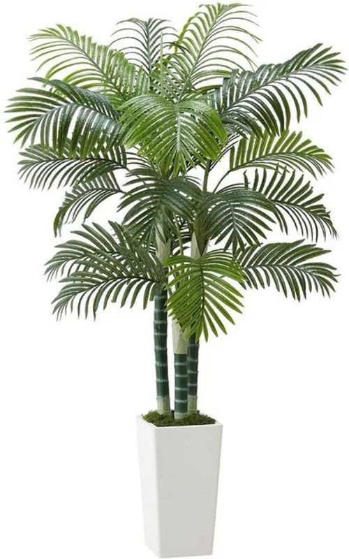 Künstliche Areca-Palme von Buying Solutions, MB in Grün mit weißem Übertopf, Höhe: 182,9 cm, Breite: 104 cm, Tiefe: 104 cm - Bild 1
