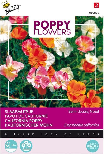 Arborix Kalifornischer Mohn Buzzy Poppy Samen für den Garten, reichblühende Schnittblumen, 1 g - Bild 1