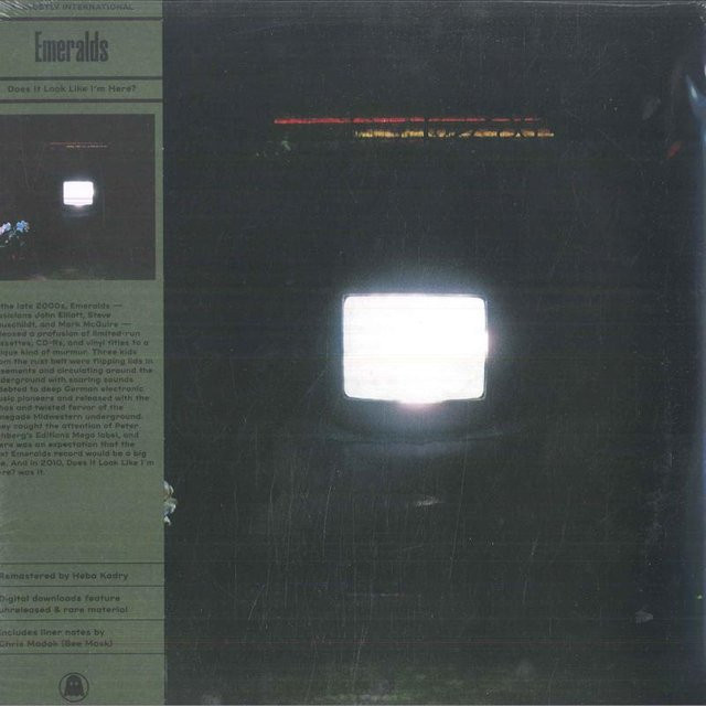 LP-Schallplatte Emeralds - Sieht es so aus, als wäre ich hier? Ghostly International, Gray, 2023, Electronic & Rock - Bild 1