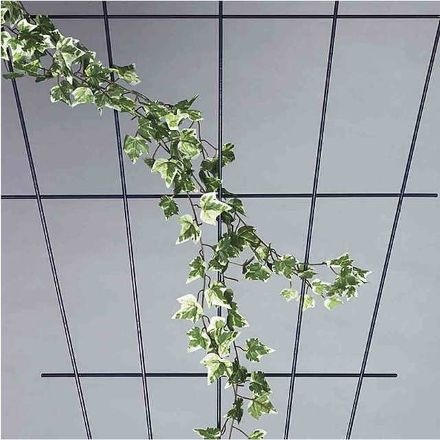 Siena Garden Rosenspalier V-Form in Braun aus kunststoffbeschichteten Eisendrähten, Höhe: 150 cm, Breite: 75 cm - Bild 1