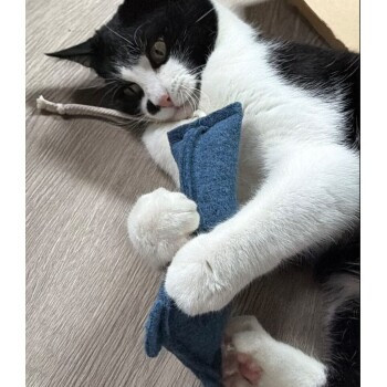 Kater Kasimir MÄUSERICH, XL Spielmaus, handgemacht aus echtem Wollfilz mit Katzen-Thymian - Bild 3