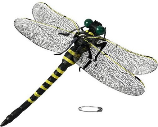 Amusedly Libellen-Dekoration zur Mückenabwehr mit Lanyard und Anstecknadel, Multicolour, PVC - Bild 1