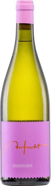 Aufricht Grauburgunder, Weißwein, Baden, 2025, trocken, 0,75 l - Bild 1