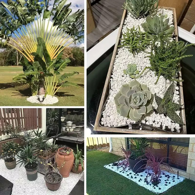 Weiße Kieselsteine als dekorative Natursteine für Garten und Zimmerpflanzen, 500 g - Bild 2