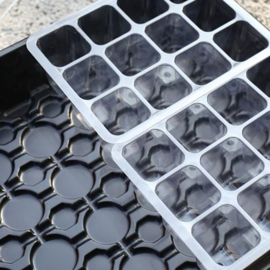 Amusedly Pflanzenanzuchtbox mit Feuchtigkeitskuppel aus Kunststoff, Transparent/Schwarz - Bild 4