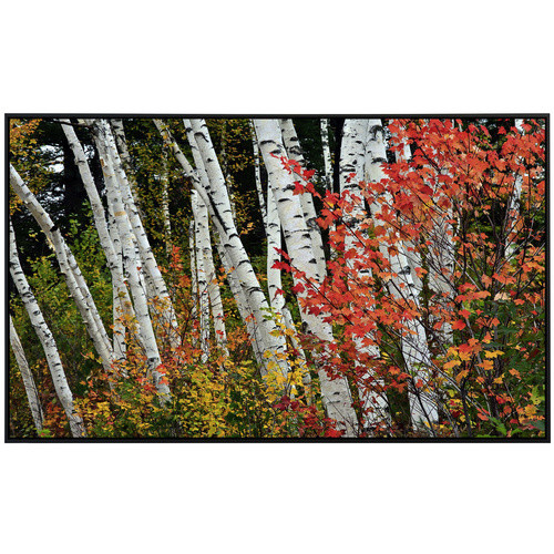 papermoon Infrarotheizung EcoHeat Herbst Birkenwald mit Matt-Effekt in Bunt, App-Steuerung und Überhitzungsschutz - Bild 2
