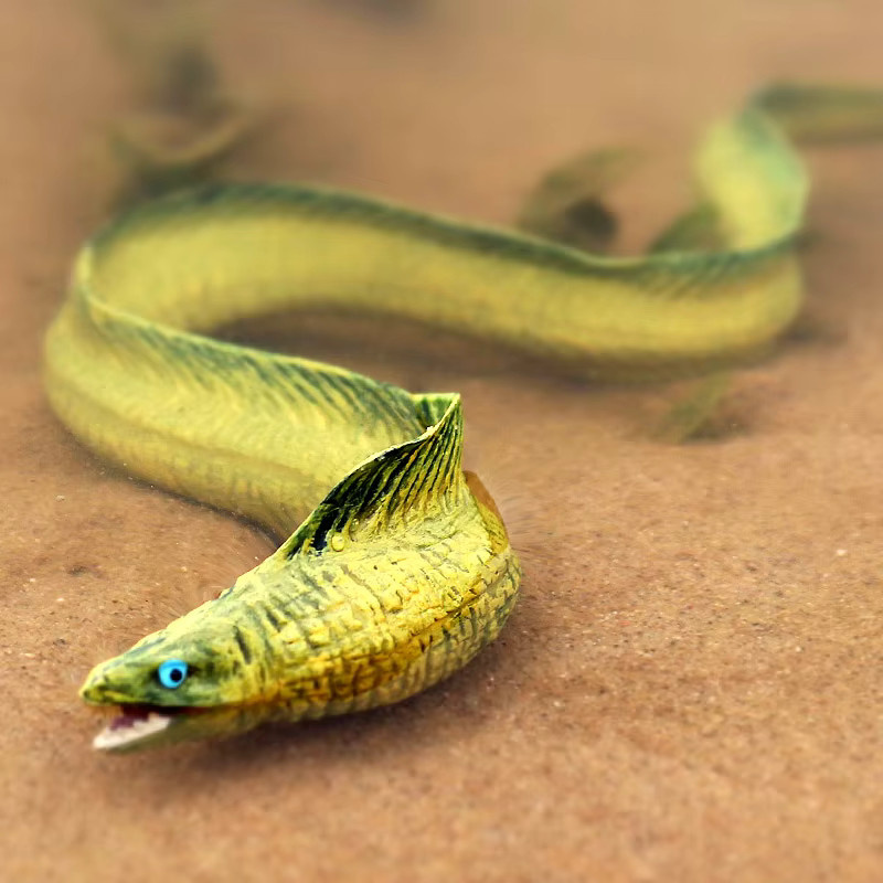 Oenux Moray Eel, Meerestiere, Actionfiguren, Lernspielzeug - Bild 3