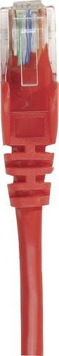 Intellinet RJ45 Patchkabel CAT 6 S/FTP Ethernet LAN in Rot, Länge: 1,50 m - Bild 1
