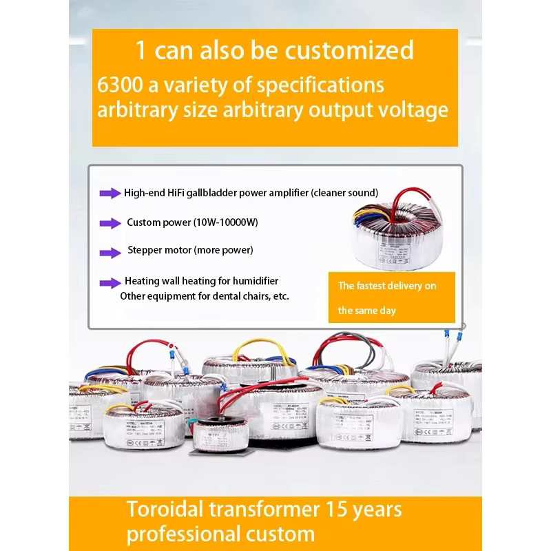 MANDONG Ringkern-Leistungstransformator für Audioverstärker 12V/24V/48V/110V/220V - Bild 2