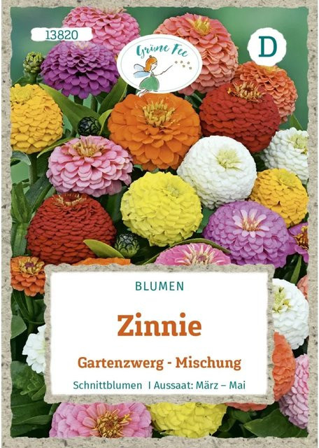 Grüne Fee Zinnie Gartenzwerg Saatgut für Beete und Rabatten - Bild 1