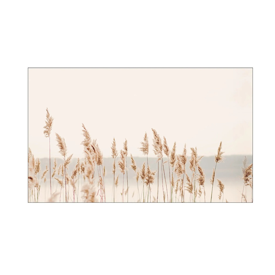 MySpotti Küchenrückwand Profix Cucina Seebi in Schilf-Optik, Farbe: Beige, B/H: 100 x 60 cm - Bild 1
