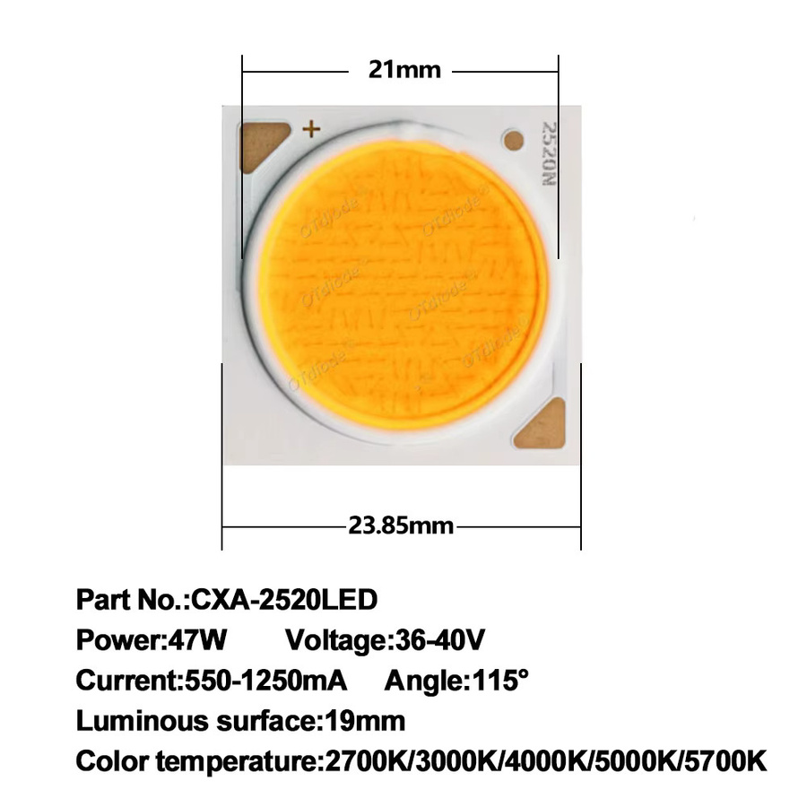 COB LED Lampe CXA2520 CXA2530 mit Keramik Chip in verschiedenen Farbtemperaturen und Leistungen von 20W bis 60W, CRI Ra80, Weiß - Bild 2