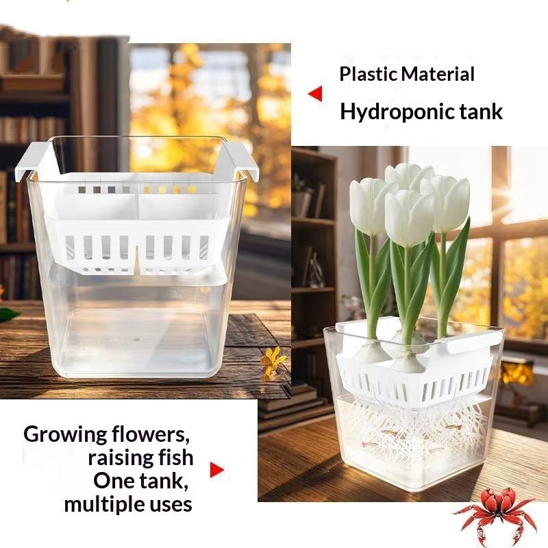 JETTING Hydrokulturbehälter mit atmungsaktivem Stützkorb für Tulpen-Saatgut, 4 Löcher, transparent - Bild 6
