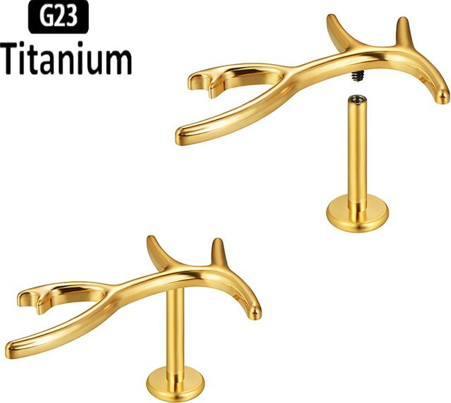 pioroe Ohrstecker Titan, Gold, Unisex - Bild 1