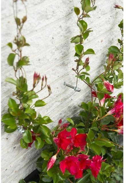 Nature Spanndrahtsystem Rankhilfe für Kletterpflanzen aus verzinktem Stahl, Farbe: Silber, Länge: 10 m - Bild 2