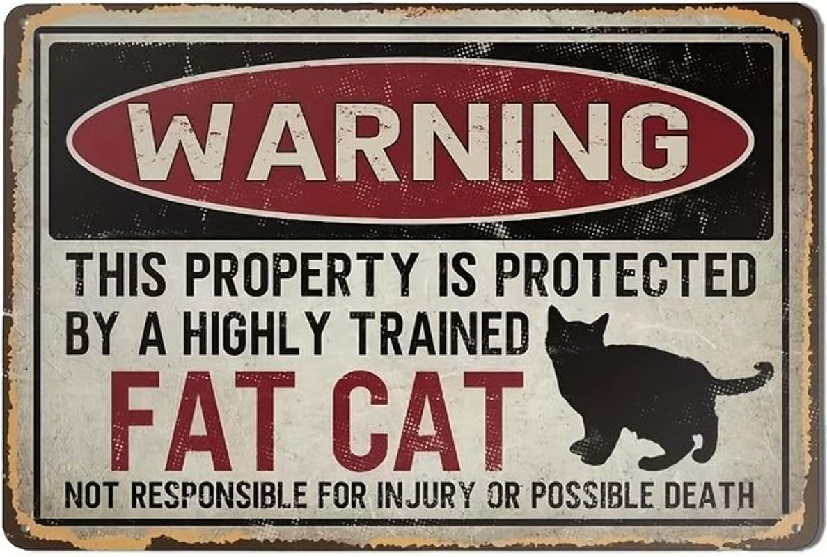 Fat Cat Vintage Metall-Blechschild Eigentum geschützt Wandkunst-Dekoration aus Aluminium, mehrfarbig, B: 30 cm, H: 20 cm, T: 20 cm - Bild 1