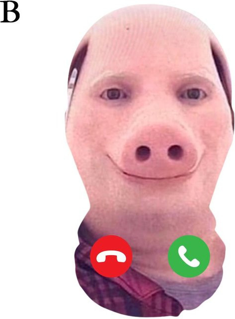 John Pork Lachend Party Cosplay Requisiten, Masken-Kopfbedeckung, Bunt / Mehrfarbig, Rosa / Pink, Plüsch / Textil - Bild 1