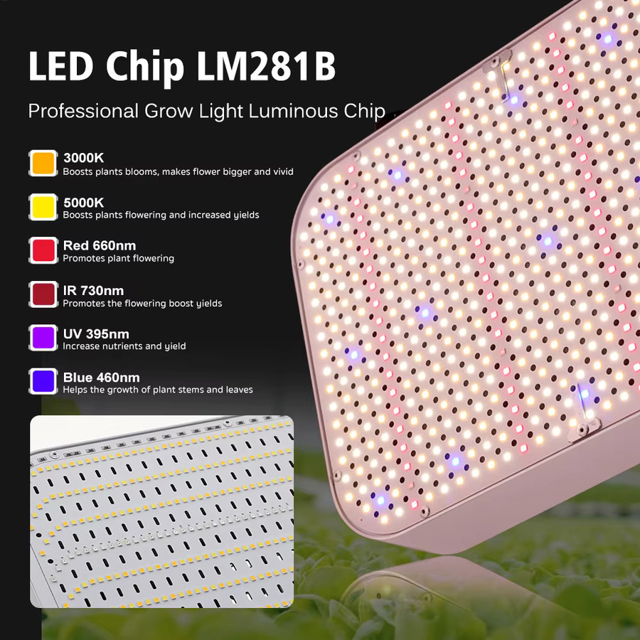 Hunta Vollspektrum-LED-Wachstumslicht mit LM281B Chips für Hydrokultur und Gewächshäuser - Bild 4