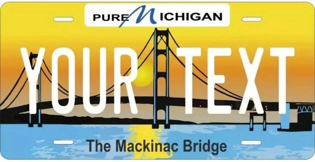 Personalisiertes Michigan Aluminium Nummernschild von CIFBUY in Weiß und Mehrfarbig, B: 30,48 cm, H: 15,24 cm - Bild 1